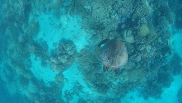G0225349