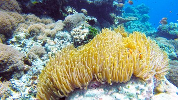 G0012288-1
