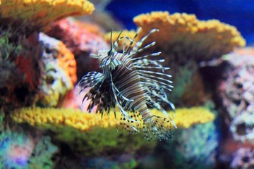 IMG_43052013.JPG