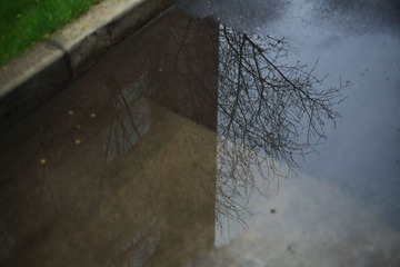 0F8A669620131.JPG