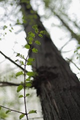 0F8A683820131.JPG