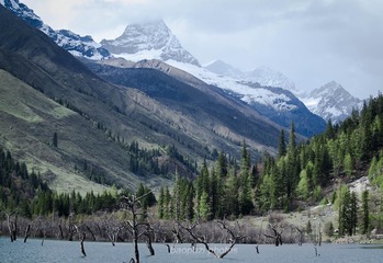 _5089890