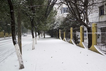 DSC00574.jpg