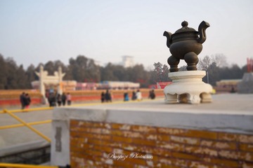 DSC00979.jpg