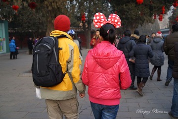 DSC01008.jpg