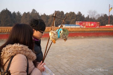 DSC00980.jpg