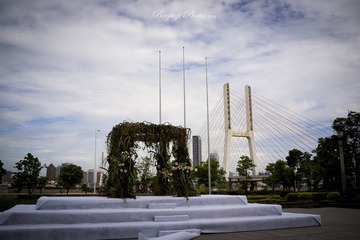 _DSC9306.jpg