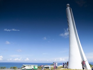 _8119309.jpg
