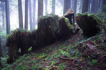 _DSC0177.jpg