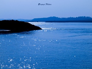 _C040049
