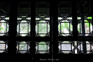 _DSC2676