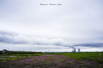 _DSC2717
