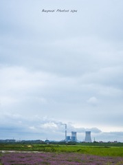 _DSC2746