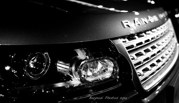 _DSC2902