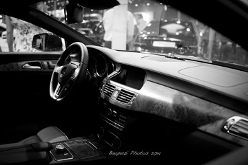 _DSC2959