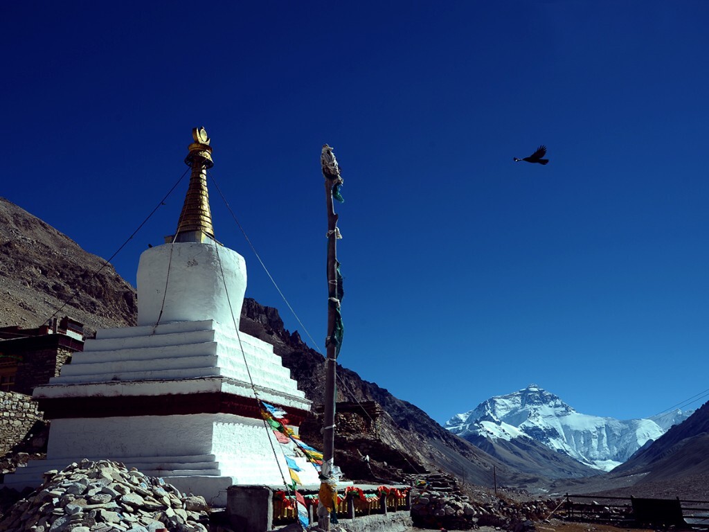 11月，西藏最高寺庙绒布寺前飞翔的雄鹰。
