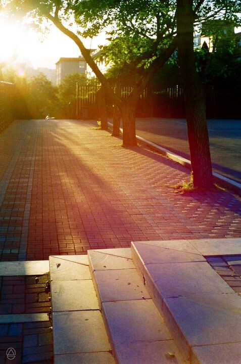 校园小径--逆光之影<br />
nikon f801 pantacon 50/1.8mc,superia 200,dalian 2010.11