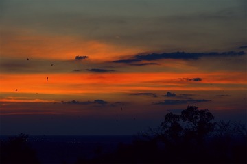 “L1000636”为智能对象-1