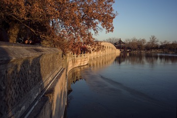 L1002949