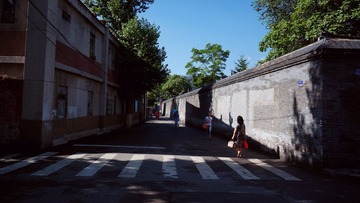 DSC02520.jpg