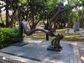 IMG_20210215_113031