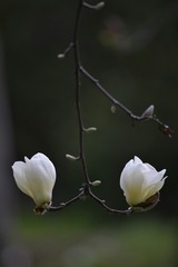 1634655