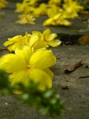 DSCN3617.JPG