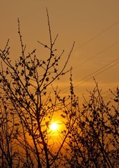 IMG_8689_Demo