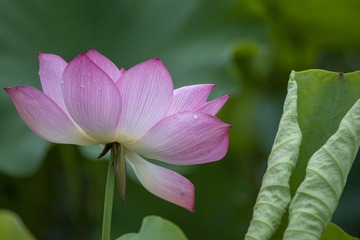 36CD281E-85DC-457D-972C-EF922D346283/L0/001