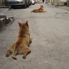 20120729 002.JPG