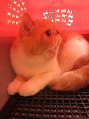 20120804 111.JPG