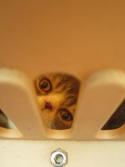 20120804 205.JPG
