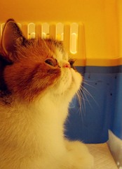 20120804 601.jpg
