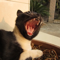IMG_8776.JPG