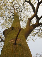 20120327 023.JPG