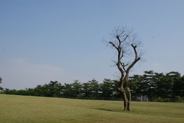 DSC07004.JPG