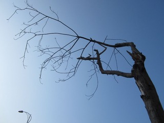 IMG_0101.JPG