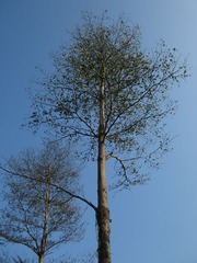IMG_0112.JPG