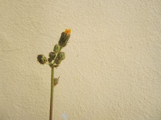 20120325 078.JPG