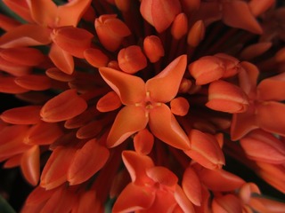20120804 024.JPG