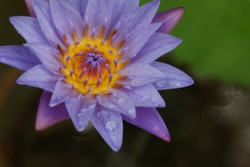 DSC00579.JPG