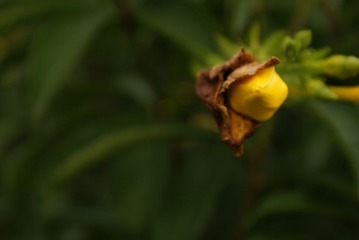 DSC00746.JPG