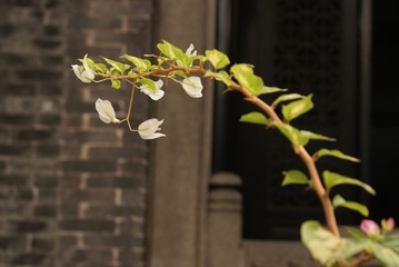 DSC02074.JPG