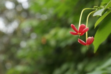 DSC02286.JPG