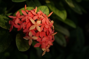 DSC07094.JPG