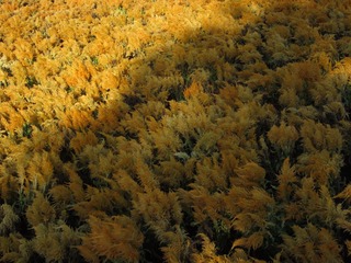 IMG_1070.JPG