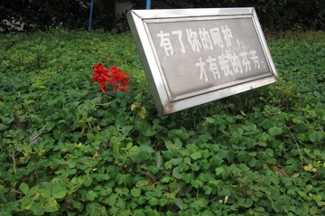 IMG_1960.JPG
