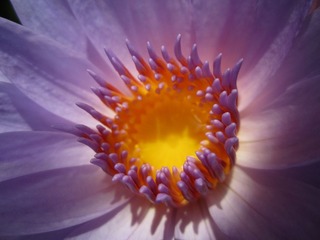 客村20120718 056.JPG