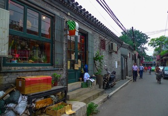 L1030541.jpg