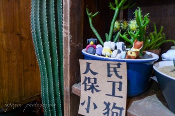 L1030518.jpg